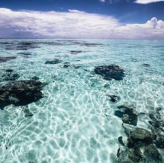 clear ocean water